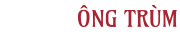 SEO Tools Ông Trùm